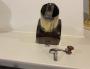 1762267-6a0b64fa7c84c.jpg