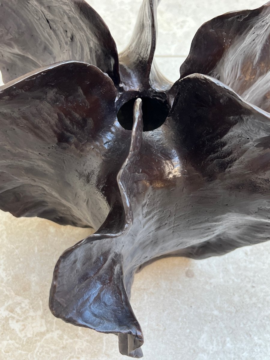 Carambole , Vase Bronze Fruitier .-photo-1