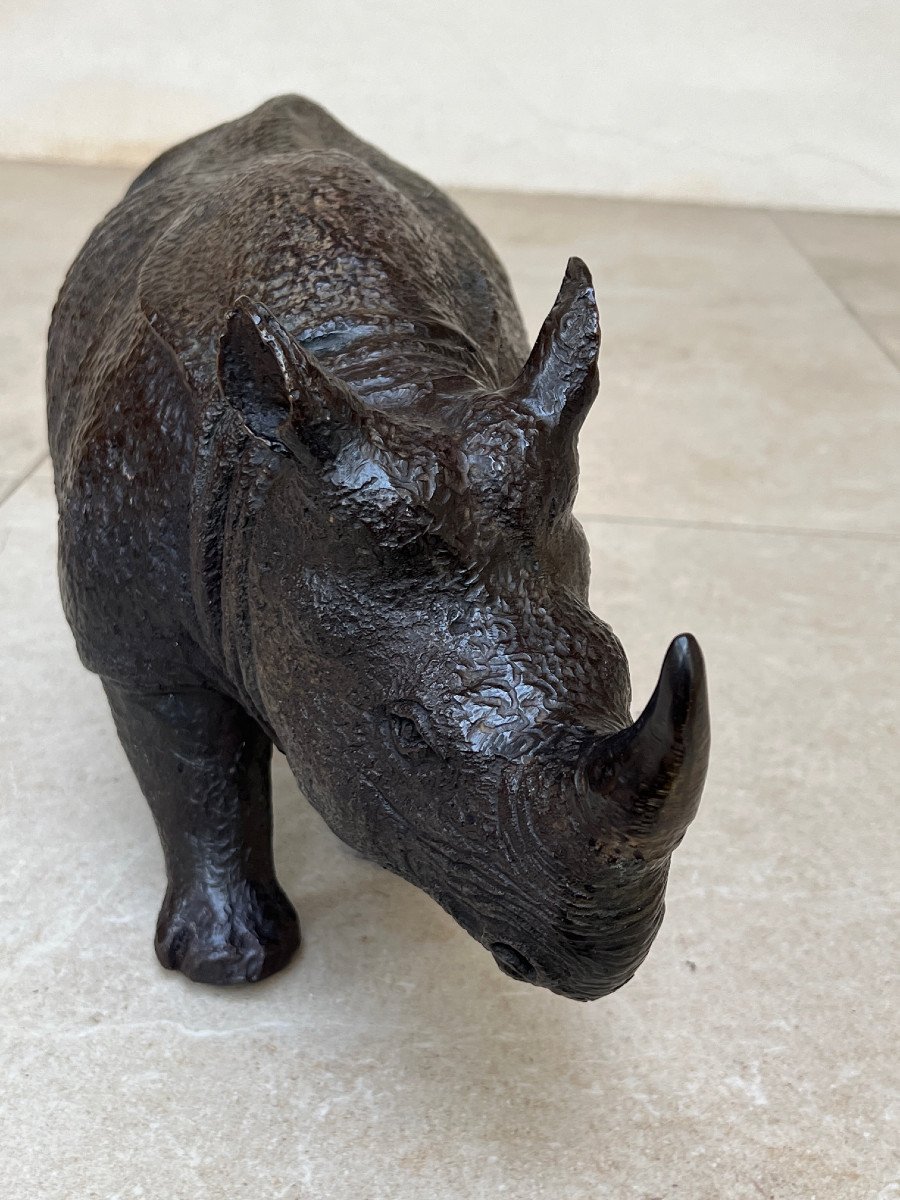 Rhinocéros Bronze -photo-5