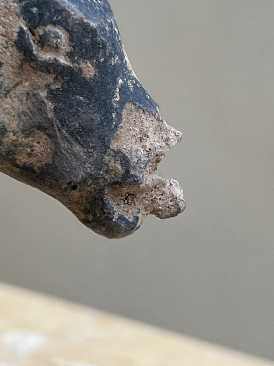 Rare Tête De  Taureau Terre Cuite   , Royaume Majapahit , XIII é /xvi  é Siècle Indonesie .-photo-1