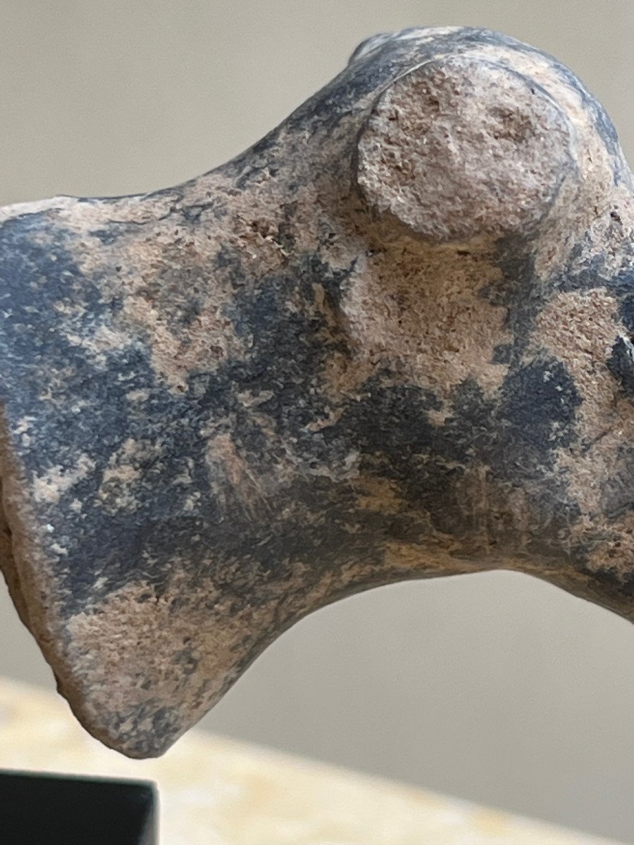Rare Tête De  Taureau Terre Cuite   , Royaume Majapahit , XIII é /xvi  é Siècle Indonesie .-photo-3