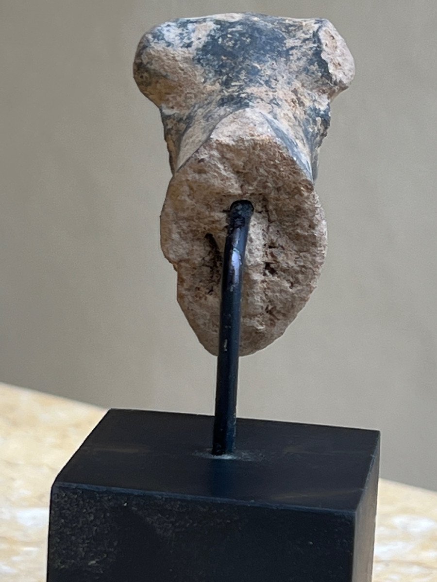 Rare Tête De  Taureau Terre Cuite   , Royaume Majapahit , XIII é /xvi  é Siècle Indonesie .-photo-4