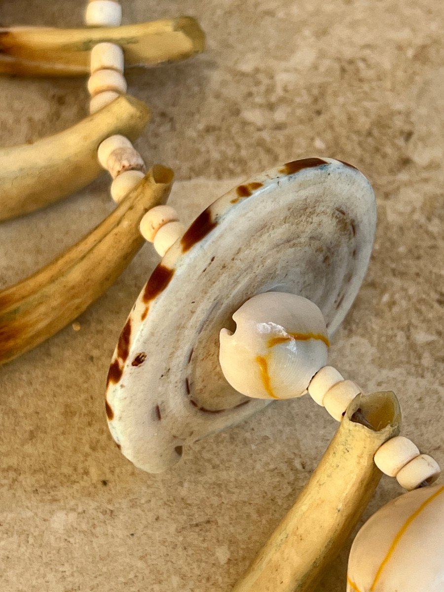 Large Shell Hunter's Necklace, Abelam, Papua New Guinea, 20th Century-photo-2