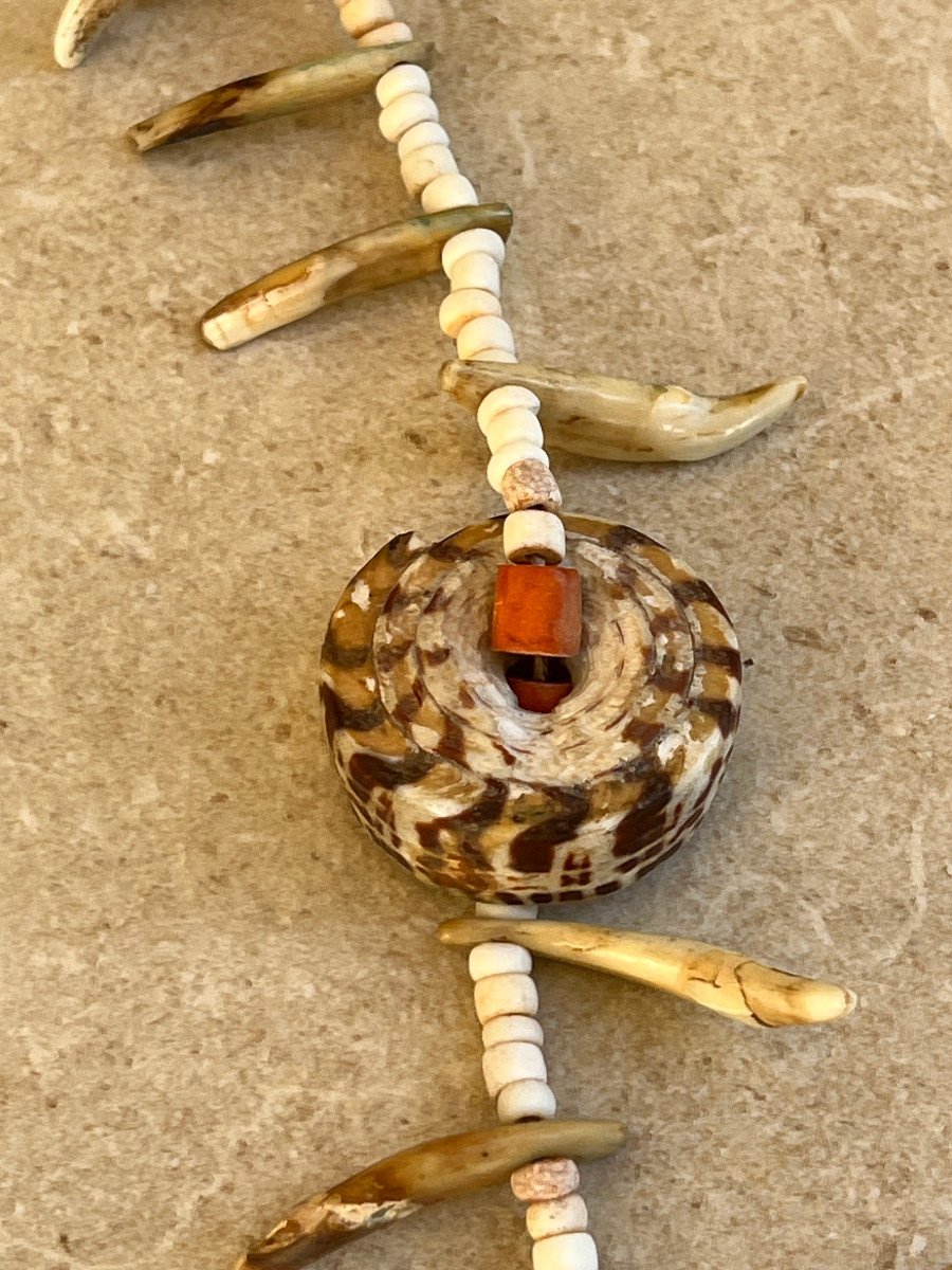 Large Shell Hunter's Necklace, Abelam, Papua New Guinea, 20th Century-photo-5