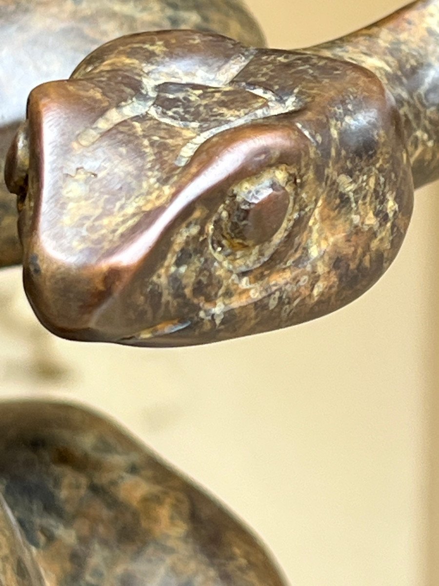  Bronze Animalier hyperréaliste  Serpent Sur Socle Marbre Noir  XXé Siécle .