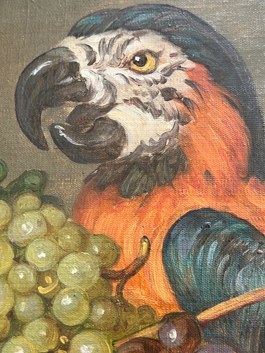 Painting Still Life With Parrot Alla Advonina 