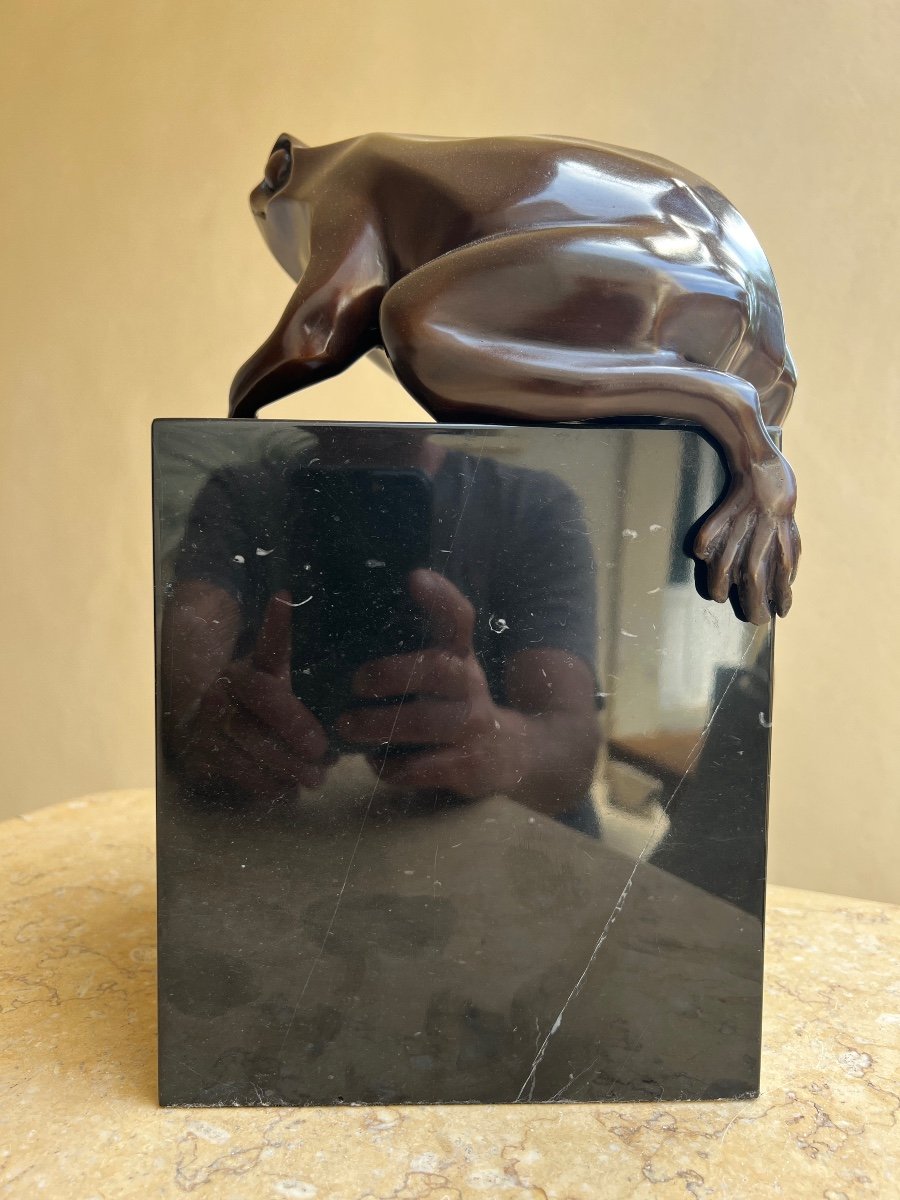 Animal Bronze Hyperrealism Frog Black Marble Base -photo-5