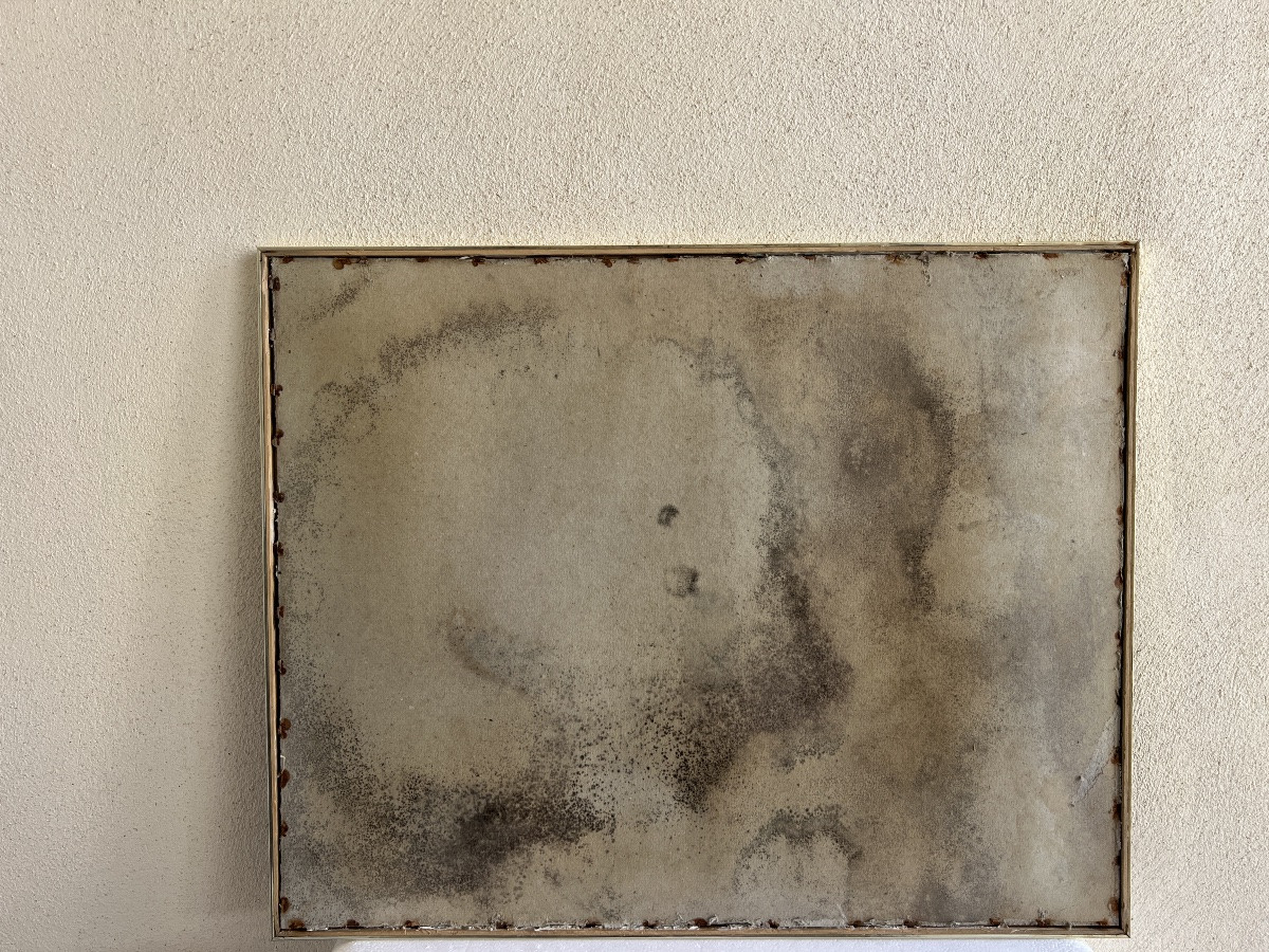 Peinture orientaliste sur soie indienne « le Maharajah » fin 19 eme siècle -photo-7