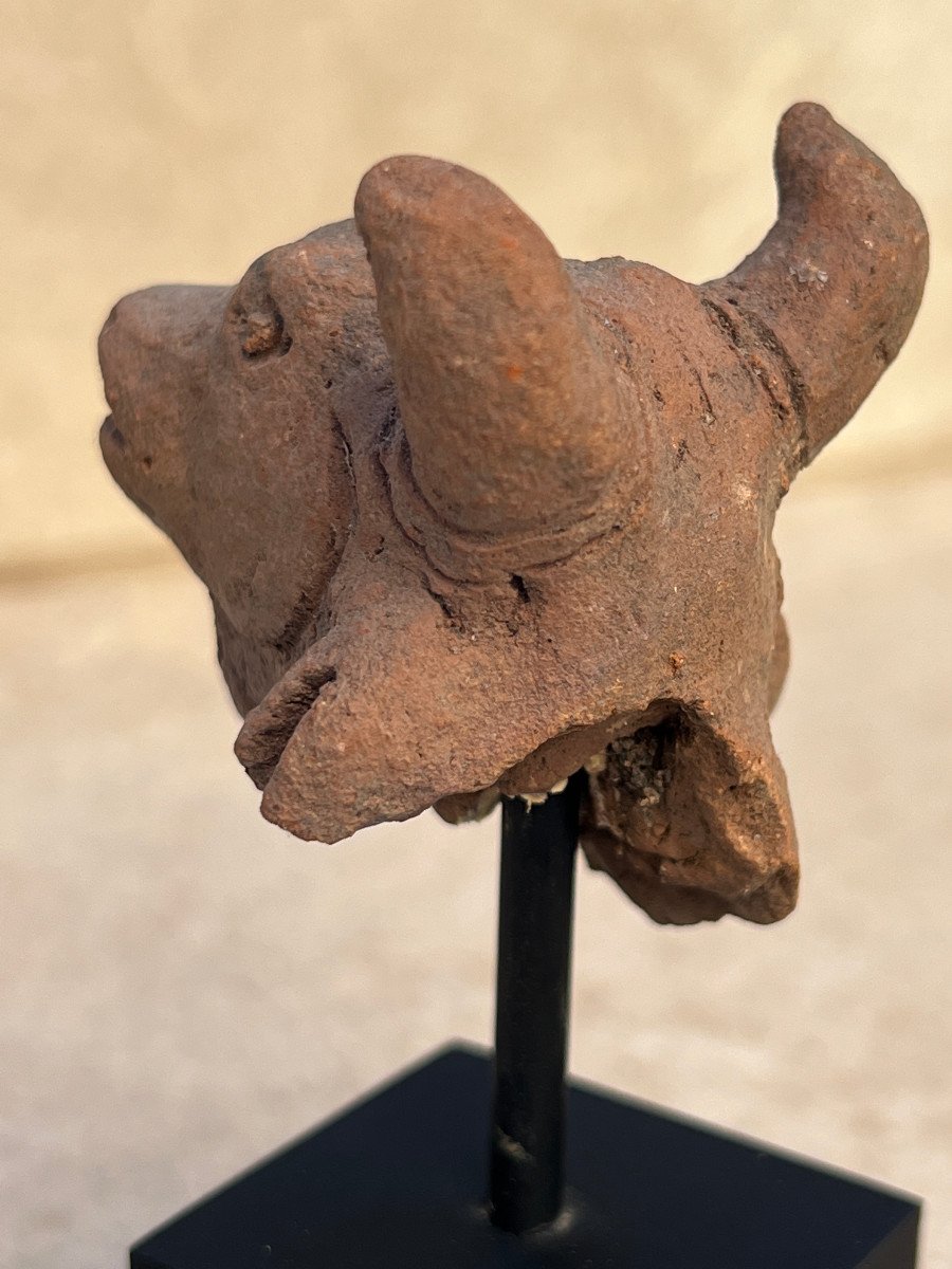 Head Of A Terracotta Bull, Majapahit Kingdom, XIIIth / XVIth Century Indonesia.-photo-3