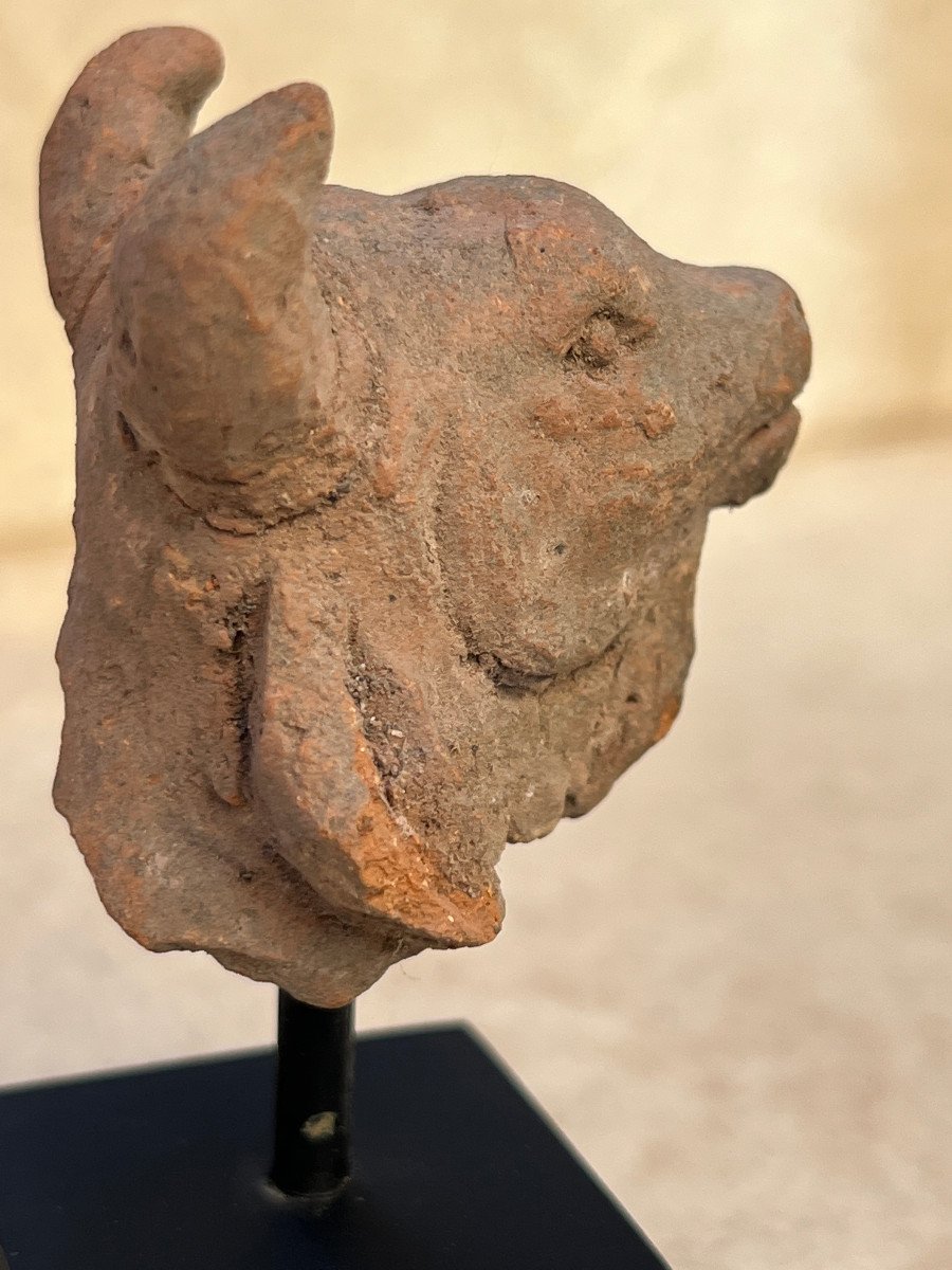 Head Of A Terracotta Bull, Majapahit Kingdom, XIIIth / XVIth Century Indonesia.-photo-5