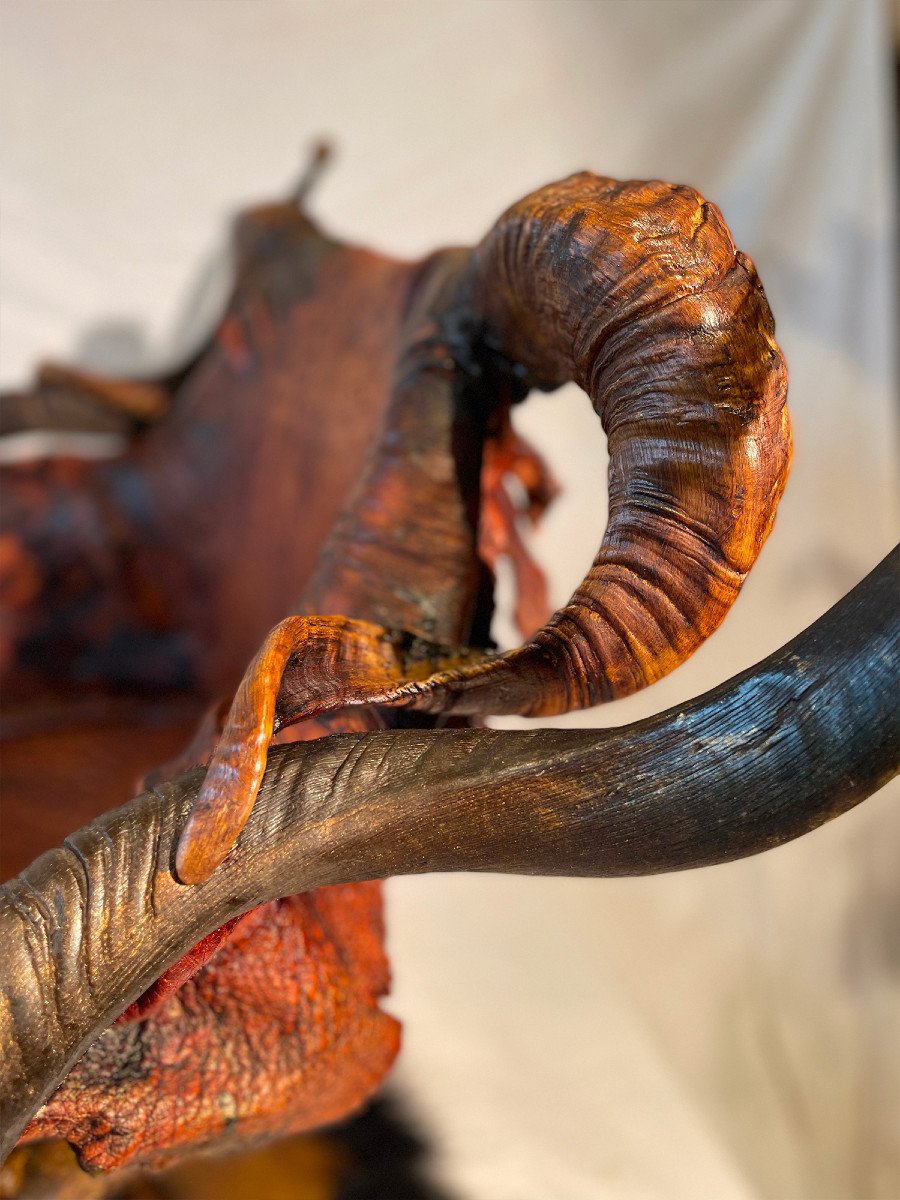 Fauteuil Ethnique Cronoll , Design Michel Haillard.-photo-2