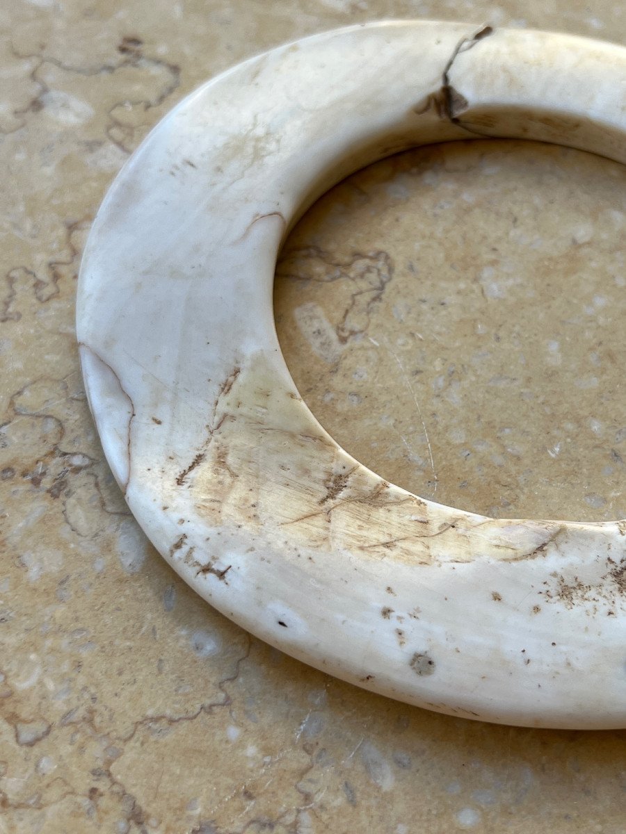 Monnaie de mariage en coquillage  Tridacna Gigas , Papouasie Nouvelle Guinée -photo-4