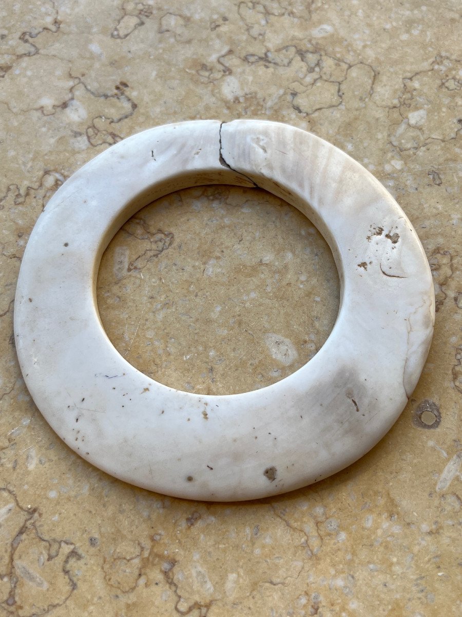 Monnaie de mariage en coquillage  Tridacna Gigas , Papouasie Nouvelle Guinée -photo-2