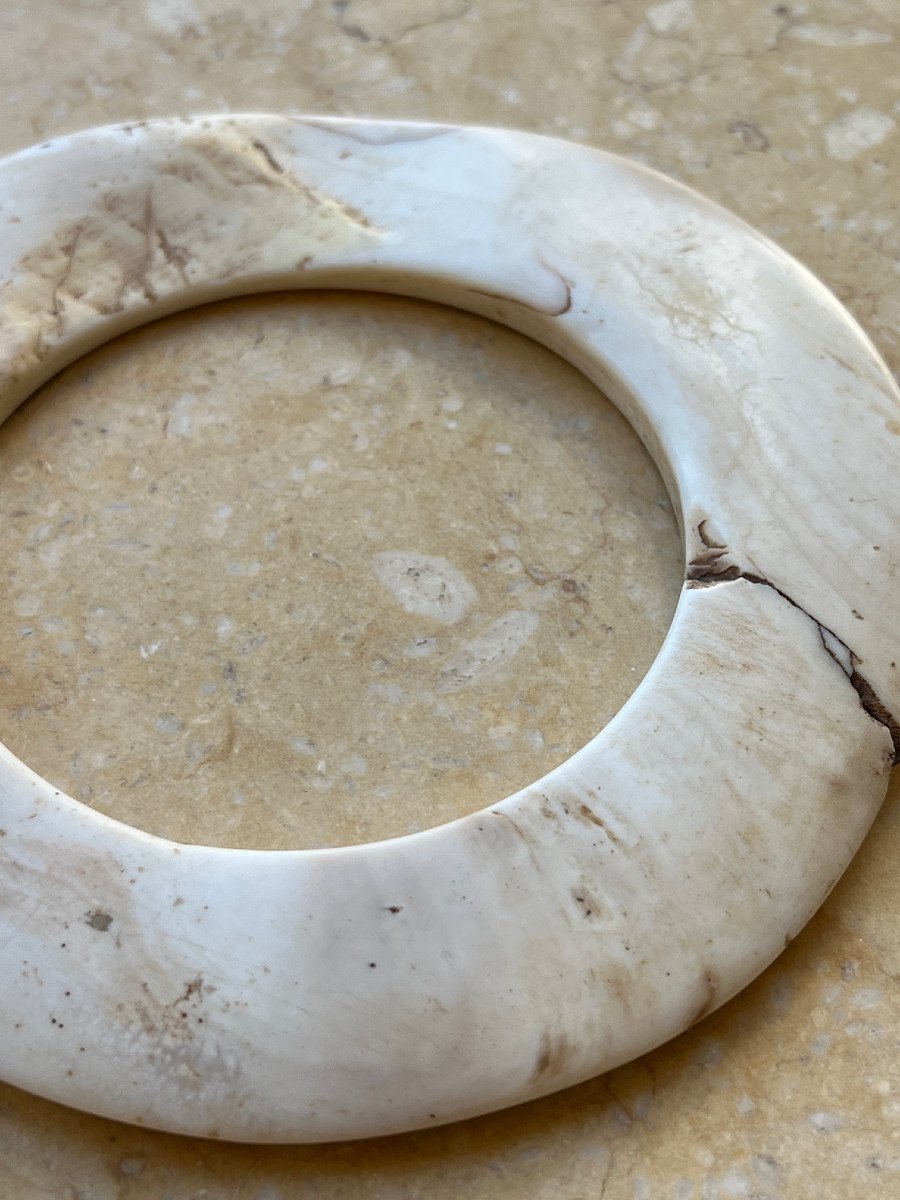 Monnaie de mariage en coquillage  Tridacna Gigas , Papouasie Nouvelle Guinée -photo-7