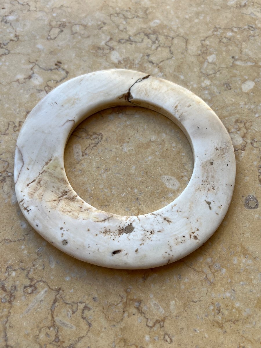 Monnaie de mariage en coquillage  Tridacna Gigas , Papouasie Nouvelle Guinée 