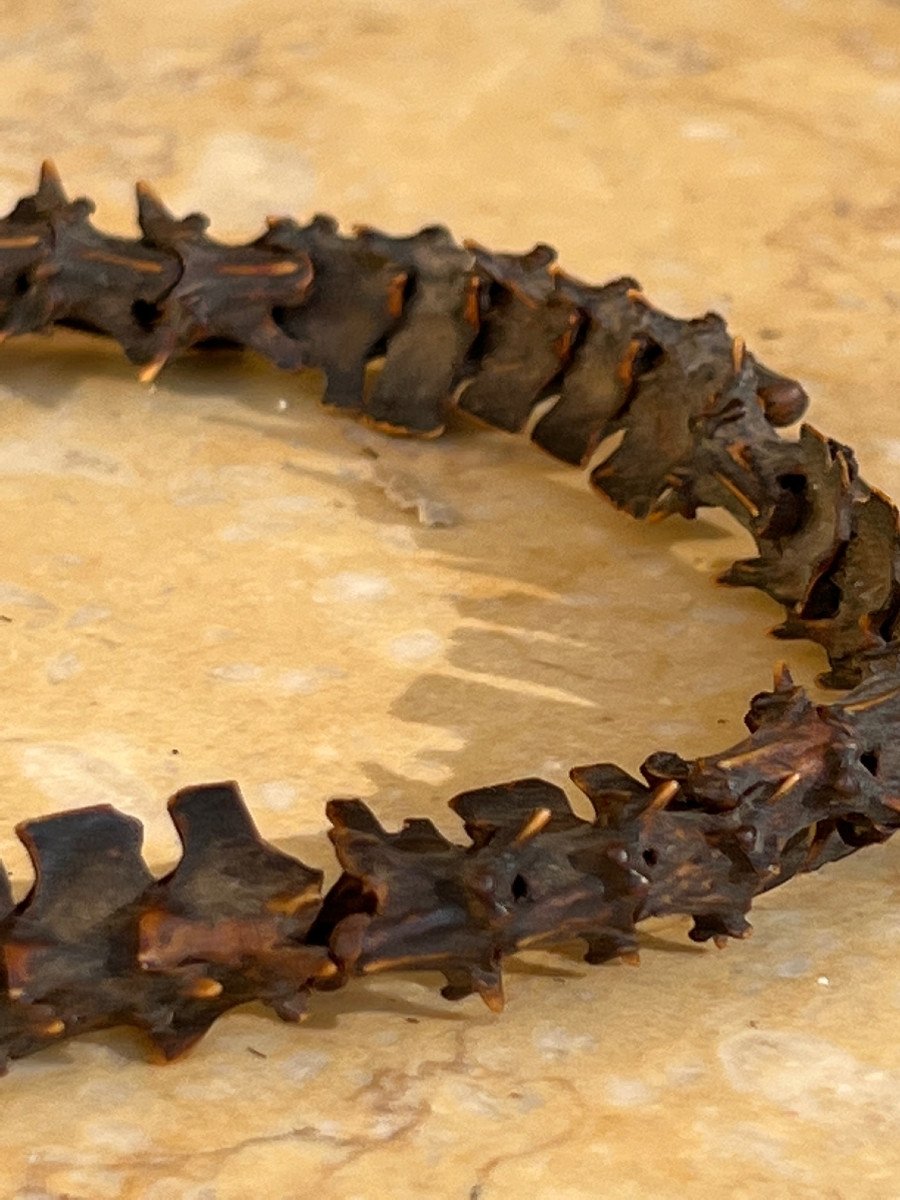 Rare Shaman Necklace In Snake Vertebra, Malo, Vanuatu Islands.-photo-2