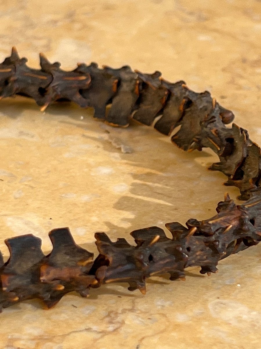 Rare Collier De Shaman  En Vertebre De Serpent ,  Malo , iles Vanuatu .-photo-2