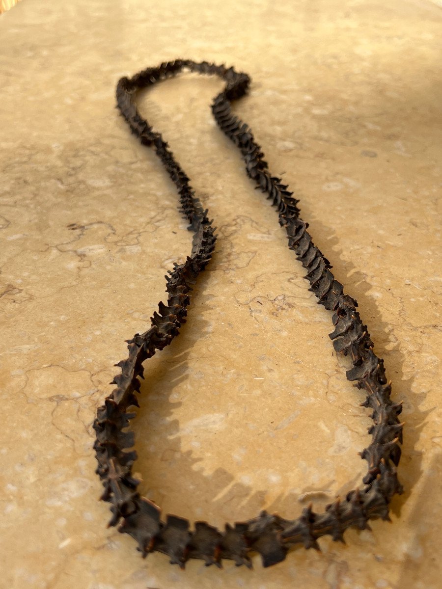 Rare Collier De Shaman  En Vertebre De Serpent ,  Malo , iles Vanuatu .-photo-3