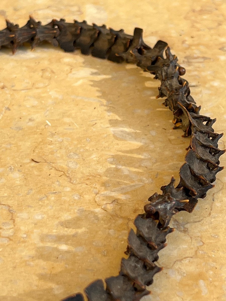 Rare Collier De Shaman  En Vertebre De Serpent ,  Malo , iles Vanuatu .-photo-7