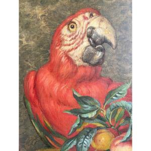 Still Life Painting With Parrot 