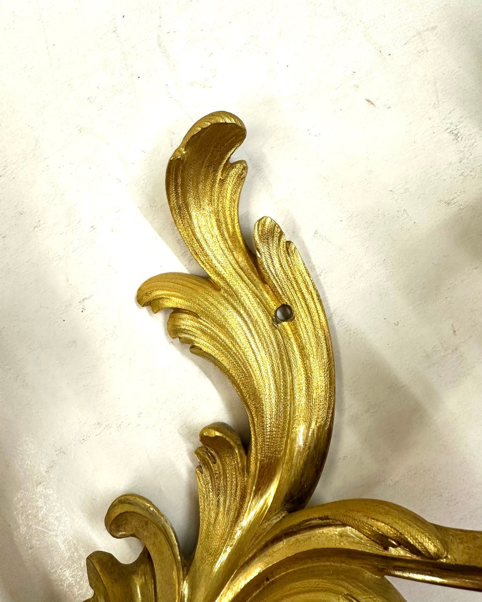 Pair Of Louis XV Style Gilt Bronze Wall Sconces-photo-3