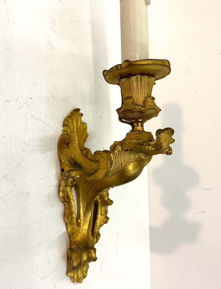 Small Wall Light - Gilt Bronze - Louis XV Style - 19th Century