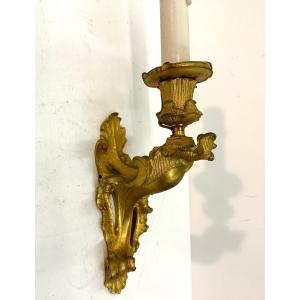 Small Wall Light - Gilt Bronze - Louis XV Style - 19th Century