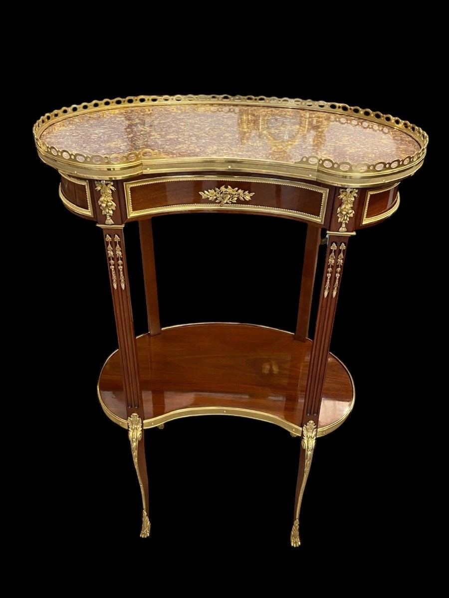 Kidney Transition Table