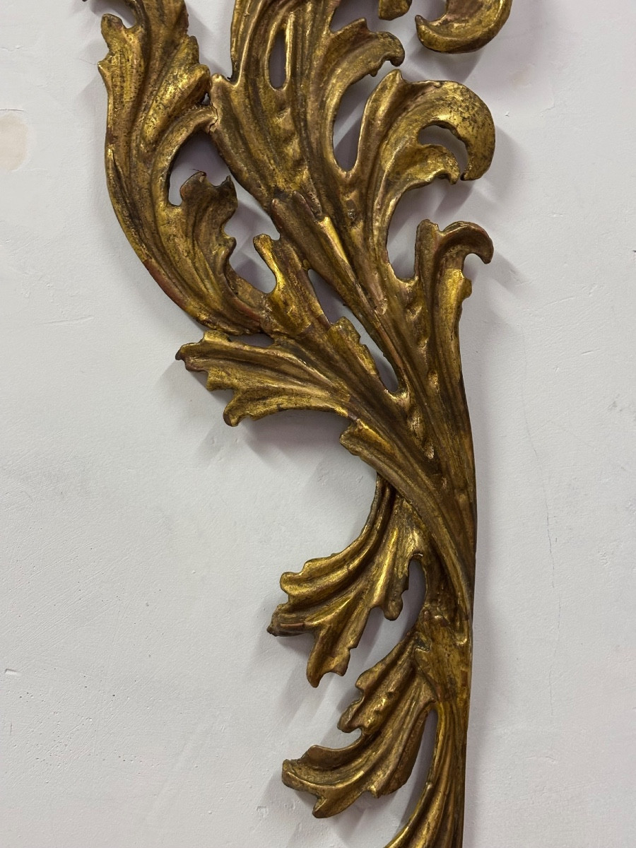 Sculpture de feuilles d'acanthe en bois doré début XIX ème-photo-3