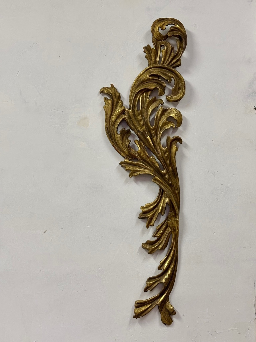 Sculpture de feuilles d'acanthe en bois doré début XIX ème