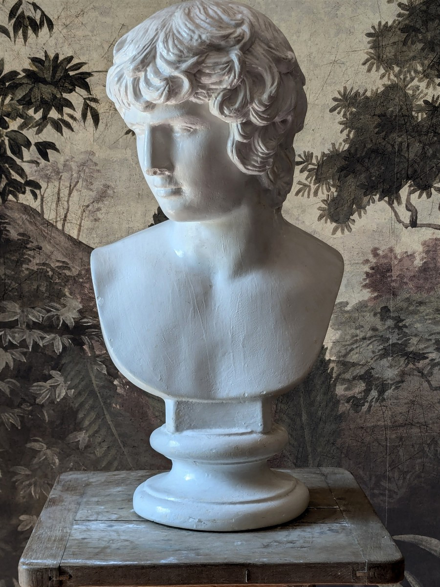 Buste En Plâtre Antinoüs, 20 ème Siècle