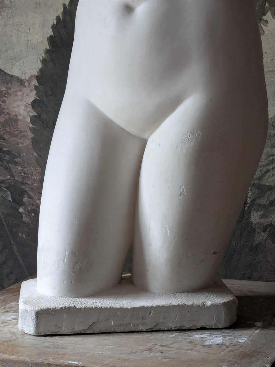 Aphrodite, plâtre 20 ème d'après Praxitèle-photo-4