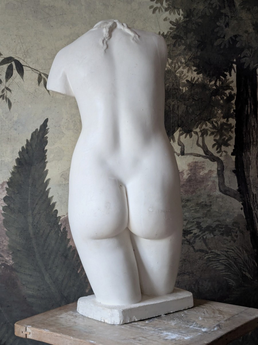 Aphrodite, plâtre 20 ème d'après Praxitèle-photo-1