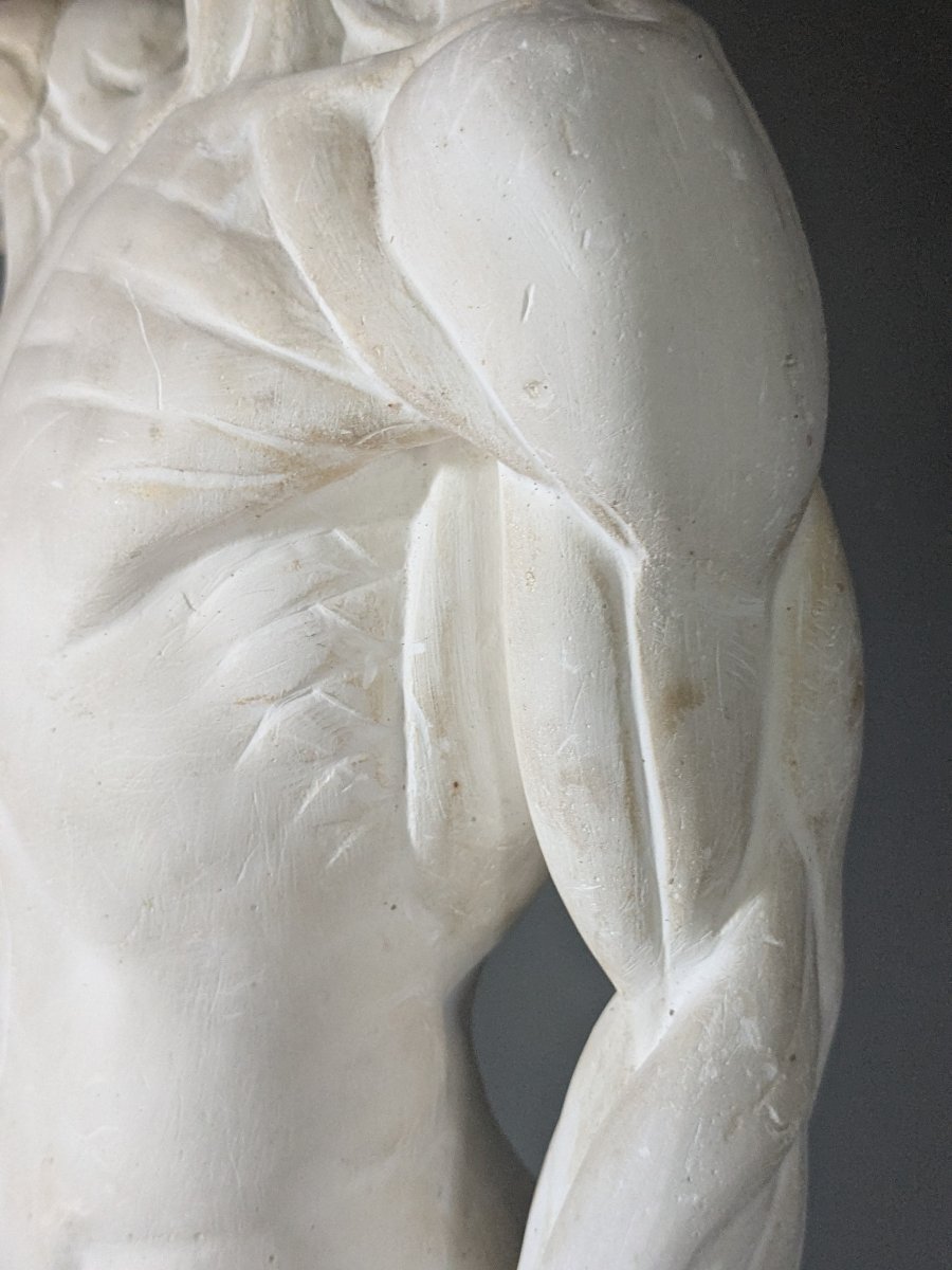 Plâtre anatomique début 20 ème, écorché au bras tendu.-photo-3