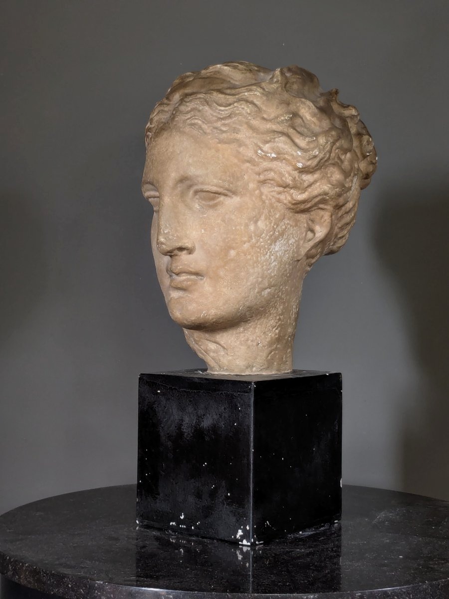 Grande tête d'Hygie, Musée du Louvre 20 ème siècle.-photo-2
