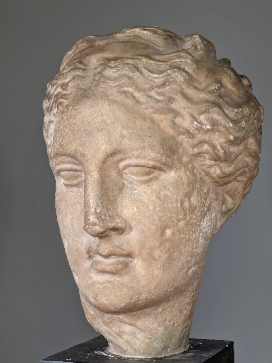 Grande tête d'Hygie, Musée du Louvre 20 ème siècle.-photo-3