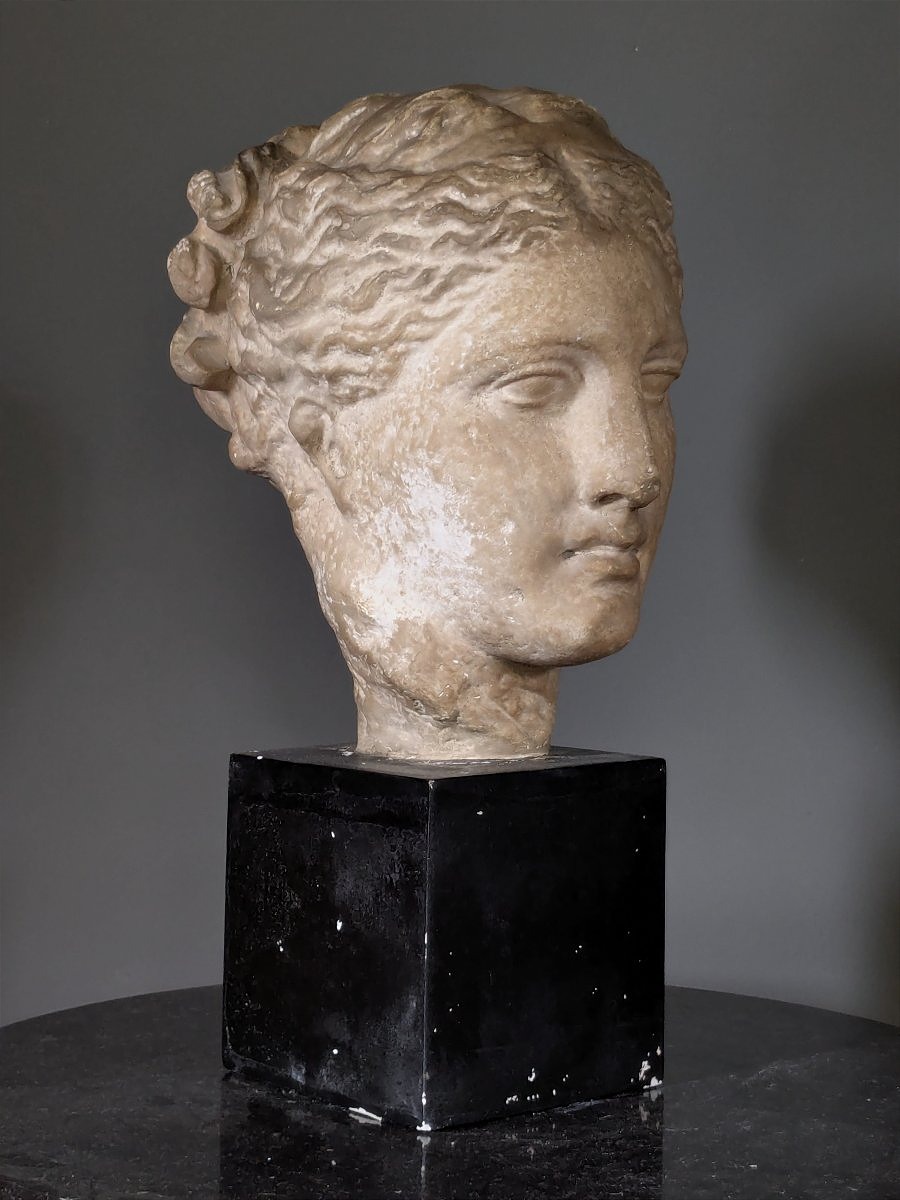 Grande tête d'Hygie, Musée du Louvre 20 ème siècle.-photo-4
