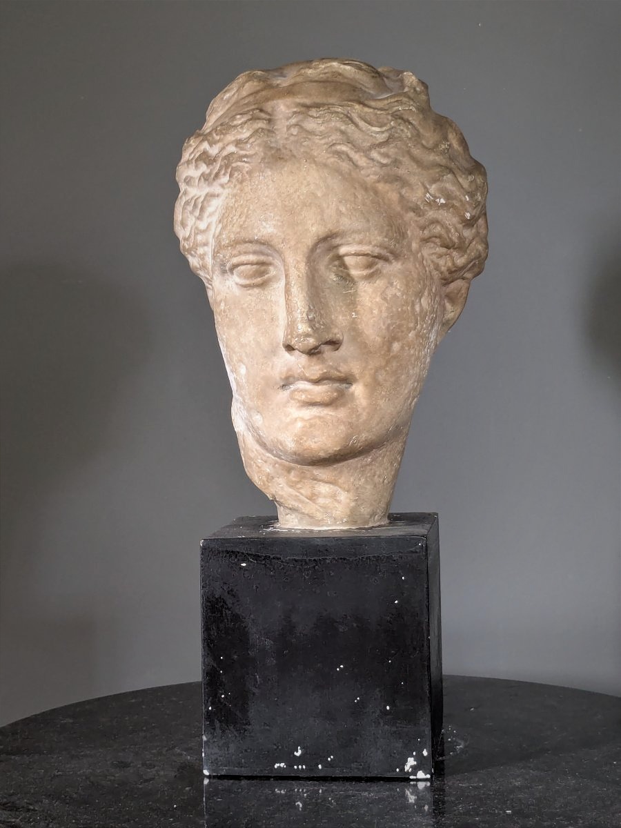 Grande tête d'Hygie, Musée du Louvre 20 ème siècle.