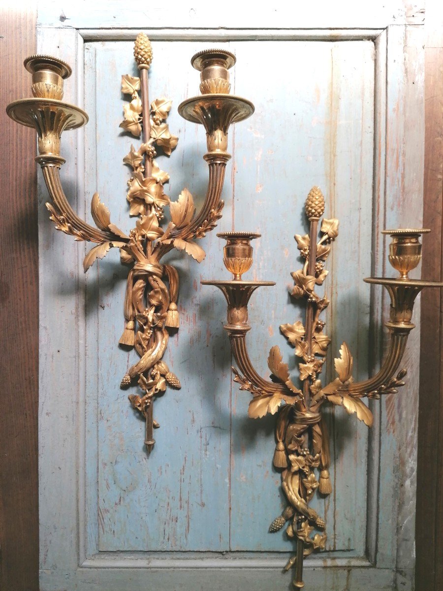 Pair Of Large Louis XVI Sconces-photo-2
