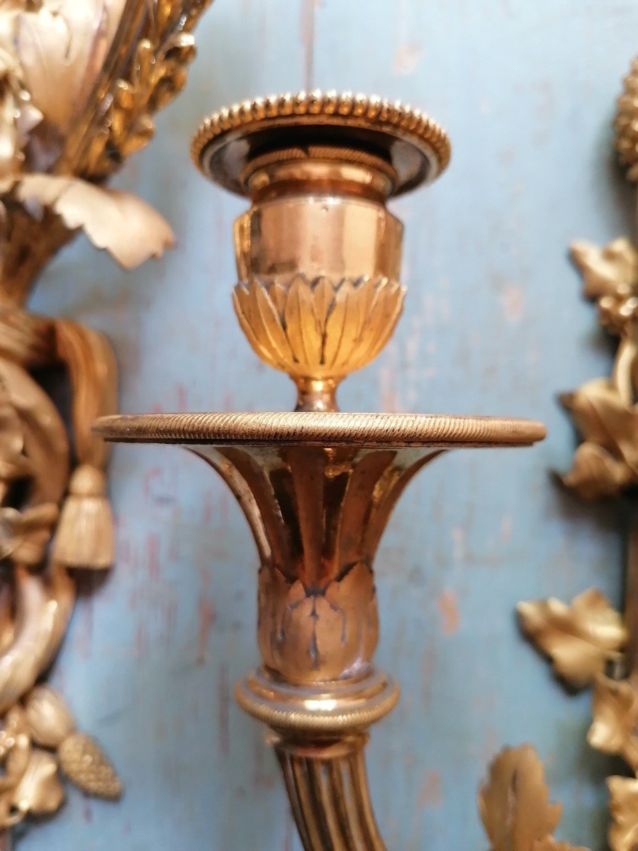 Pair Of Large Louis XVI Sconces-photo-4
