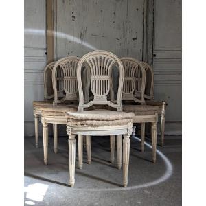 Suite de 6 chaises de style Louis XVI, 20 ème siècle