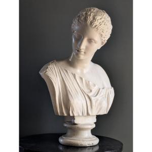 Diane, buste en plâtre 20 ème siècle
