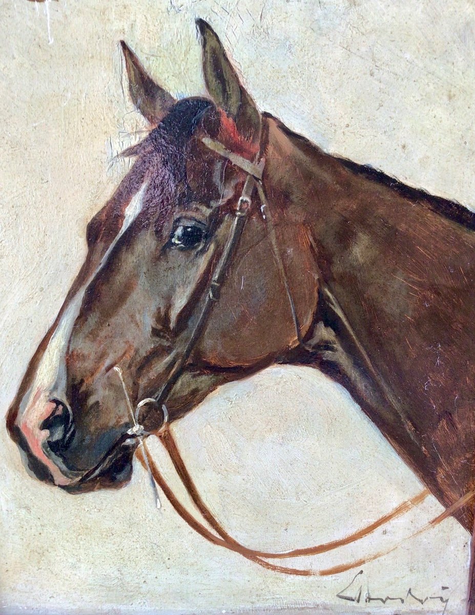 Horse Portrait By Ernest Bodoy -photo-2