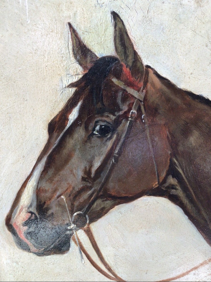 Horse Portrait By Ernest Bodoy -photo-4