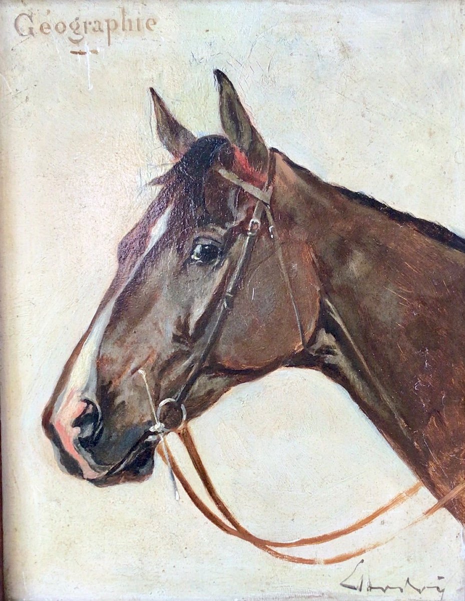 Horse Portrait By Ernest Bodoy -photo-1