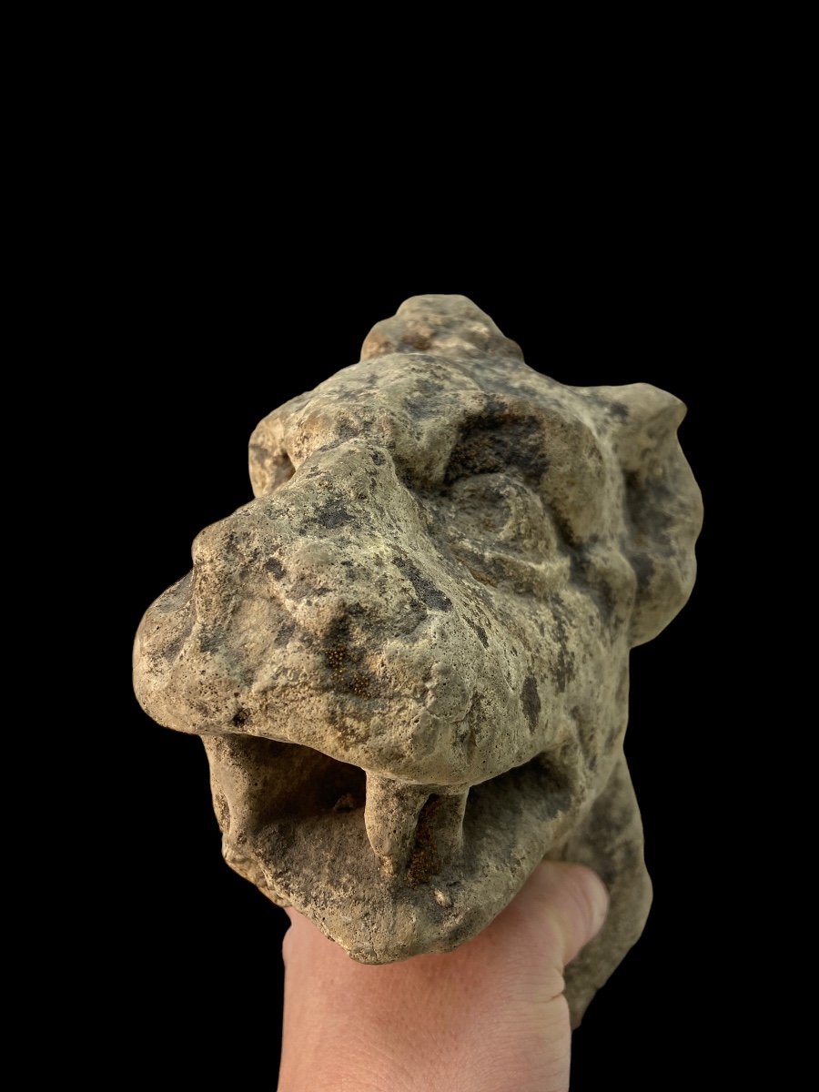Gothic Architectural Fragment Of A Dog's Head (france?)-photo-4