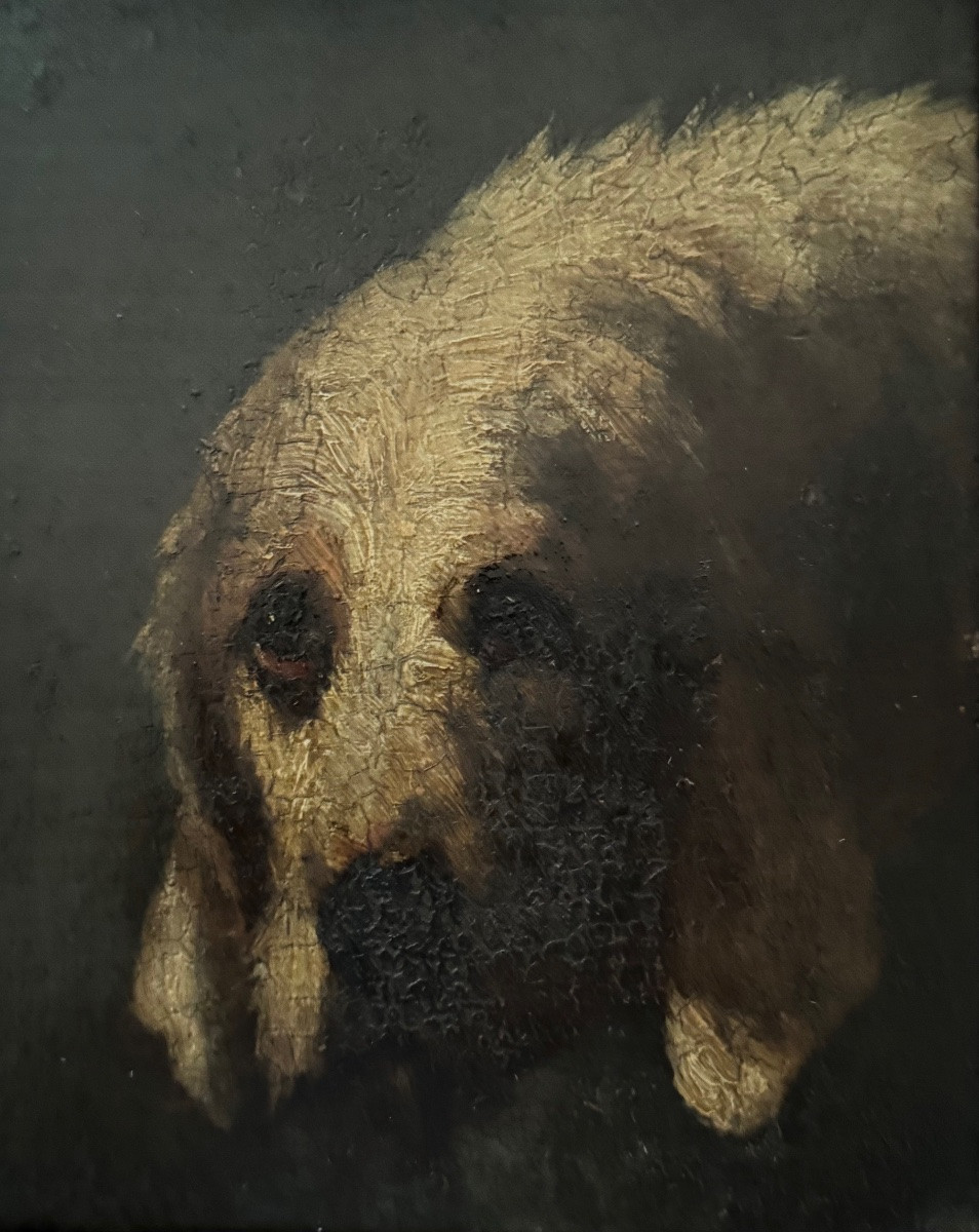 Dog Portrait-photo-2