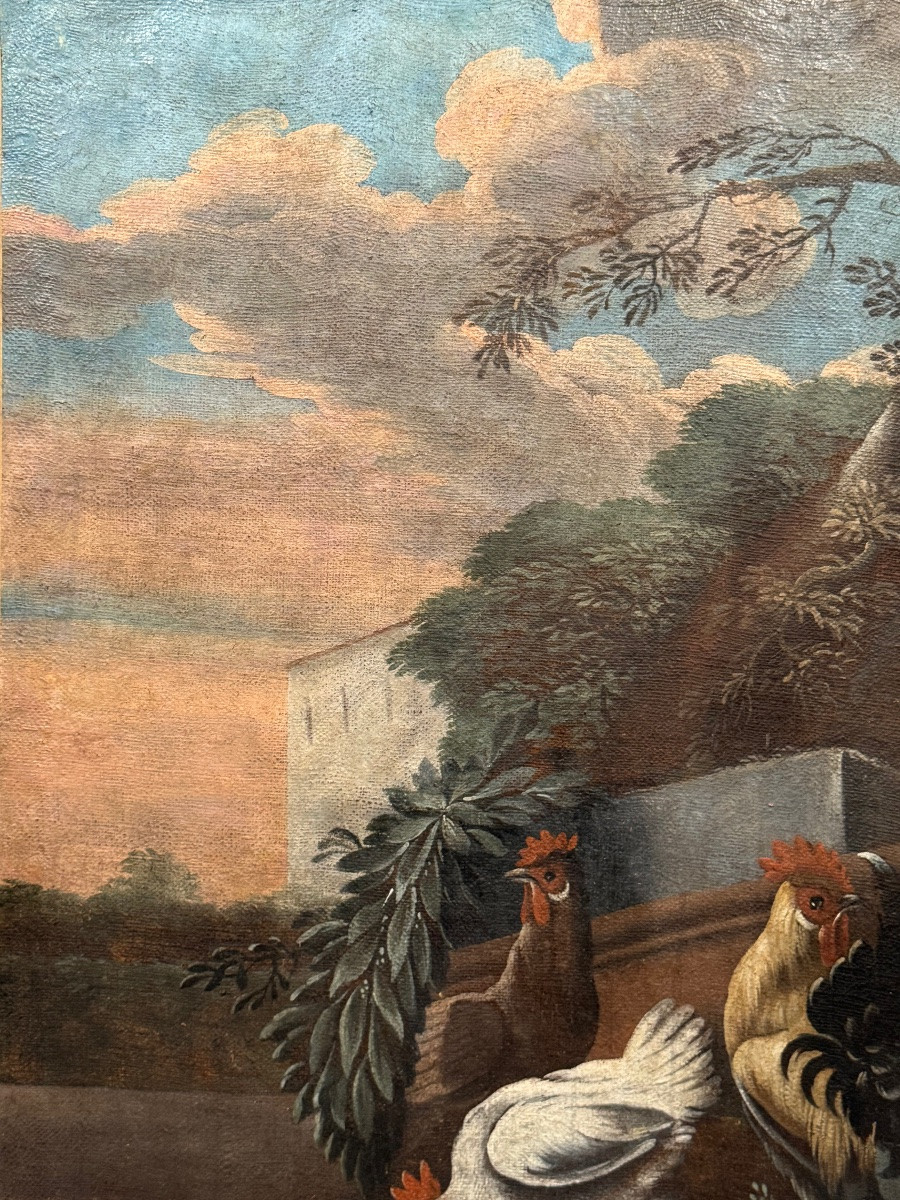 Tableau de boiserie au perroquet -photo-3