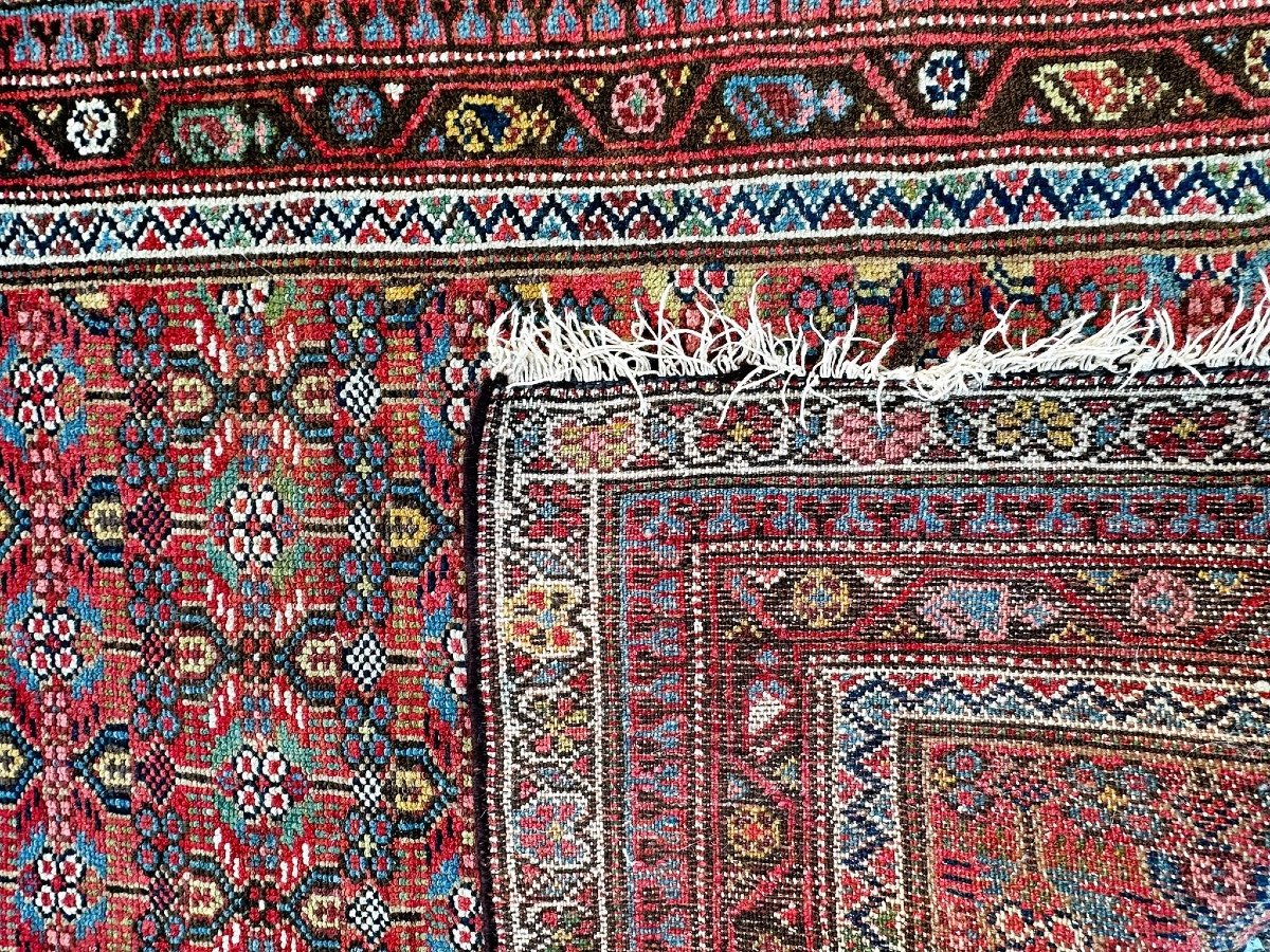 Gallery Rugs-photo-3