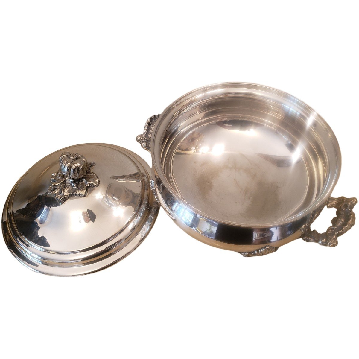Tureen In Silver Metal With Rockery Decor-photo-1
